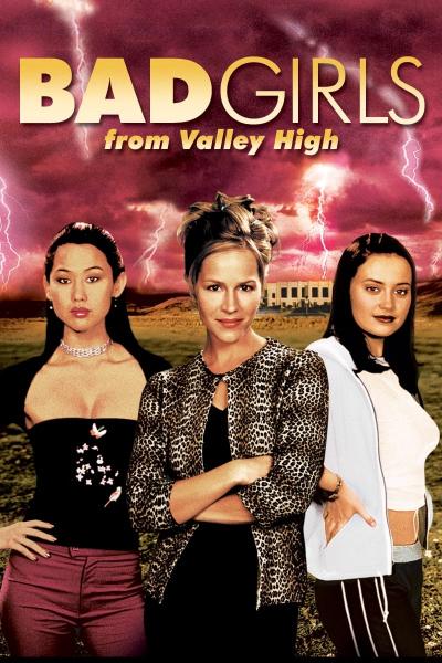 Affiche du film Bad Girls from Valley High