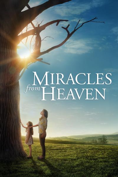 Affiche du film Miracles du ciel