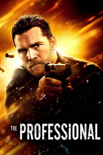 Affiche du film The Professional