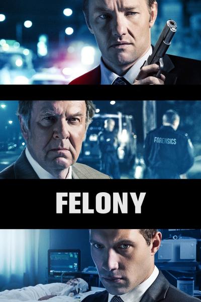 Affiche du film Felony