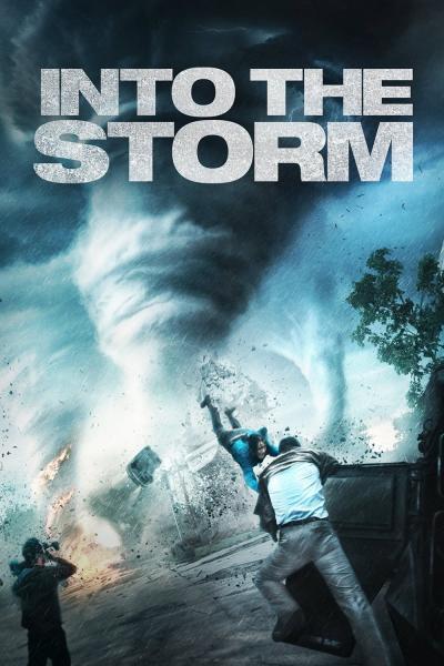 Affiche du film Black Storm