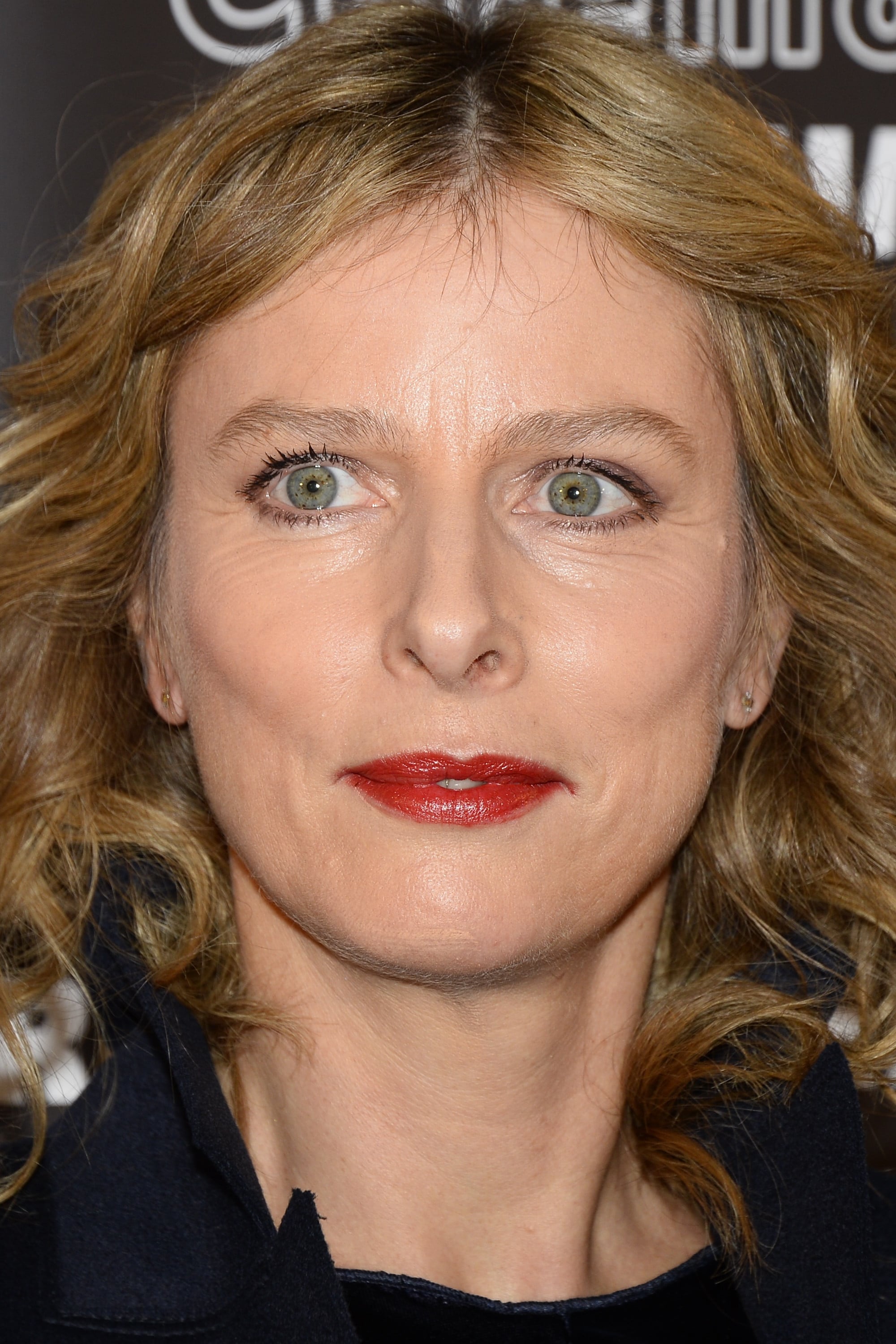 Karin Viard 57 Ans Actrice Cinefeelme 