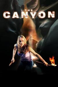 The Canyon : perdus dans le désert…