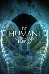 De humani corporis fabrica