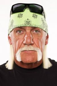 Photo de Hulk Hogan : acteur