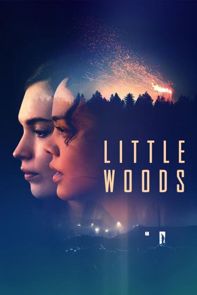 Affiche du film Little Woods