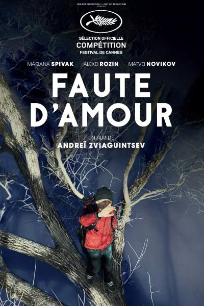 Affiche du film Faute d'amour