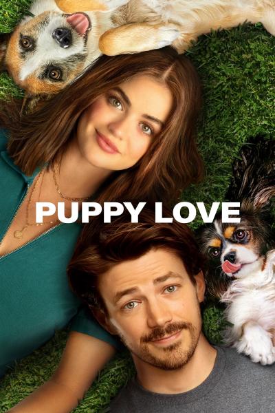 Affiche du film Puppy Love
