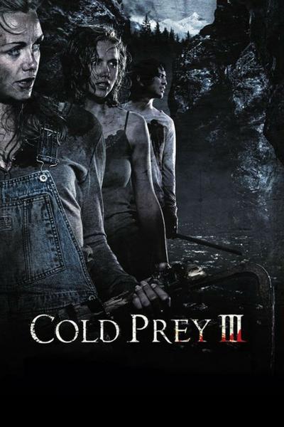Affiche du film Cold Prey 3