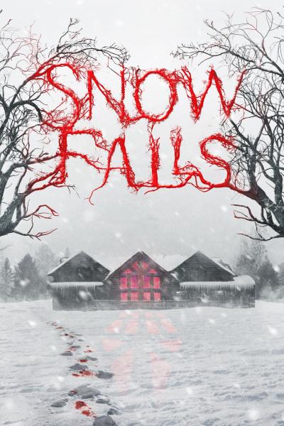 Affiche du film Snow Falls