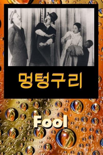 Affiche du film Fool