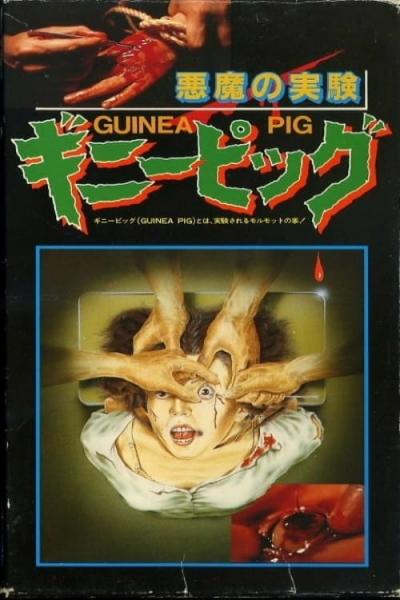 Affiche du film Guinea Pig: Devil's Experiment