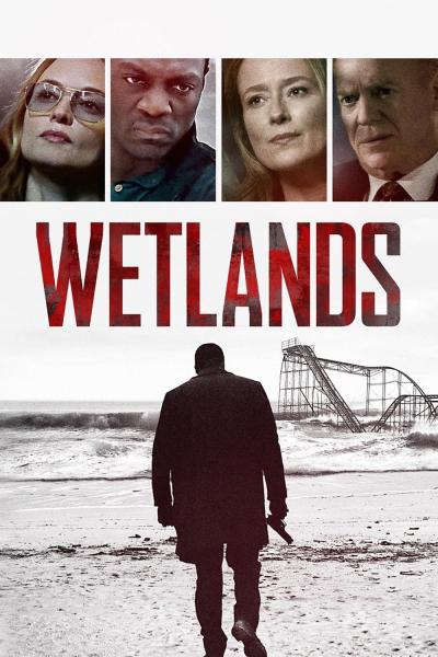 Affiche du film Wetlands