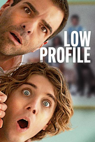 Affiche du film Low Profile