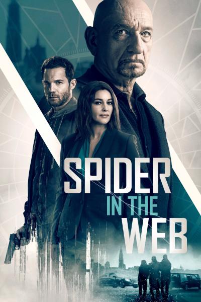 Affiche du film Spider in the Web