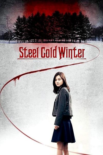 Affiche du film Steel Cold Water