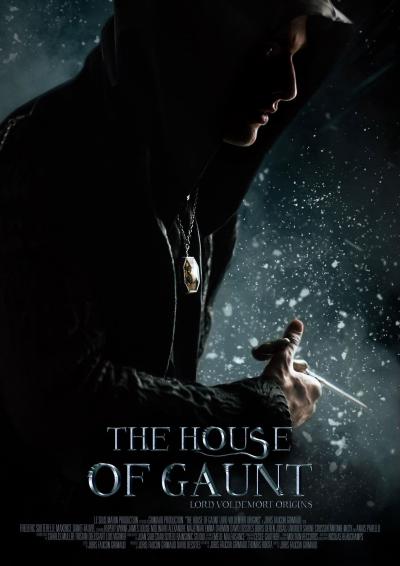 Affiche du film The House of Gaunt : Lord Voldemort Origins