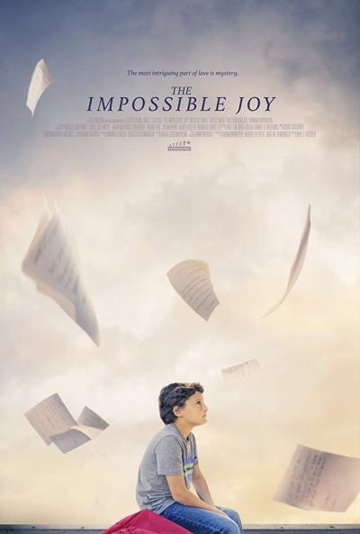 Affiche du film The Impossible Joy