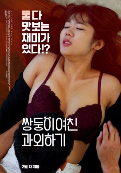 Affiche du film 쌍둥이 여친 과외하기