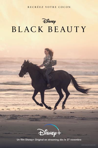 Affiche du film Black Beauty