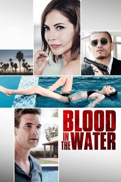 Affiche du film Blood in the Water