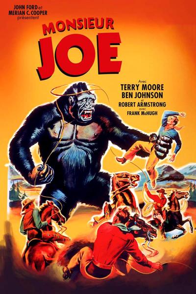 Affiche du film Monsieur Joe