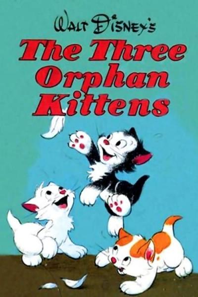 Affiche du film Three Orphan Kittens