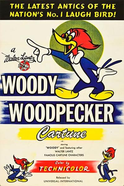 Affiche du film Woody Woodpecker