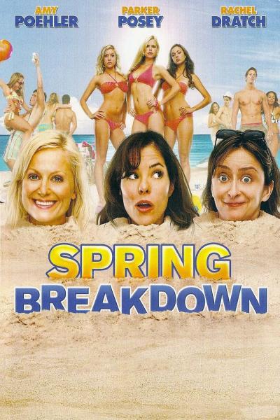 Affiche du film Spring Breakdown