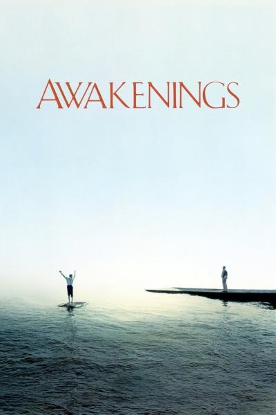 Affiche du film L'Éveil