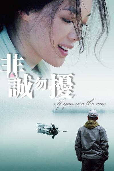 Affiche du film 非诚勿扰