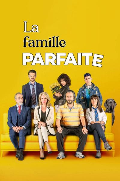 Affiche du film La famille parfaite