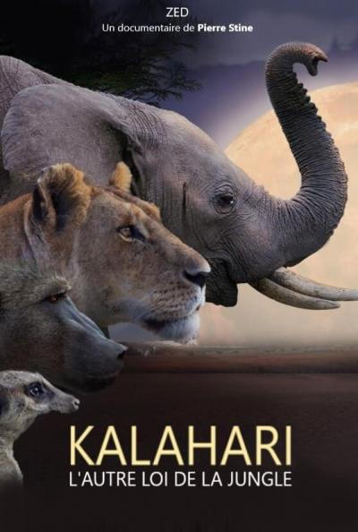 Affiche du film Kalahari, l'autre loi de la jungle