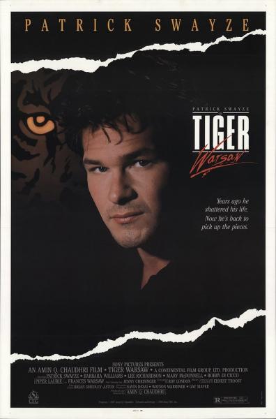 Affiche du film Tiger Warsaw