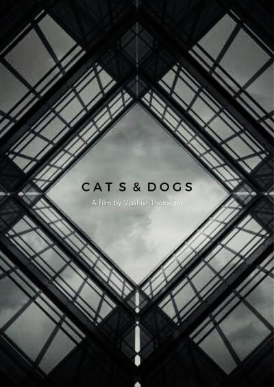 Affiche du film Cats & Dogs