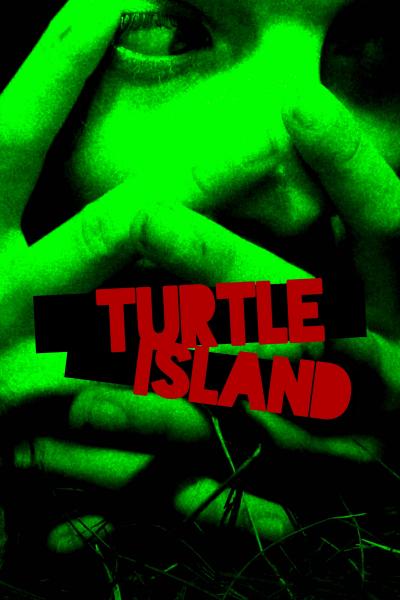 Affiche du film Turtle Island