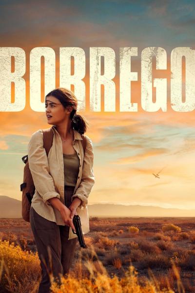 Affiche du film Borrego
