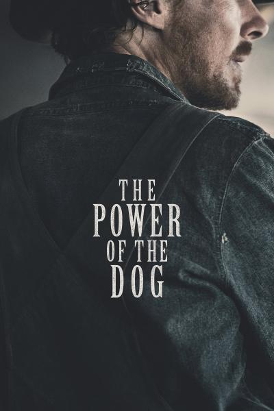 Affiche du film The Power of the Dog