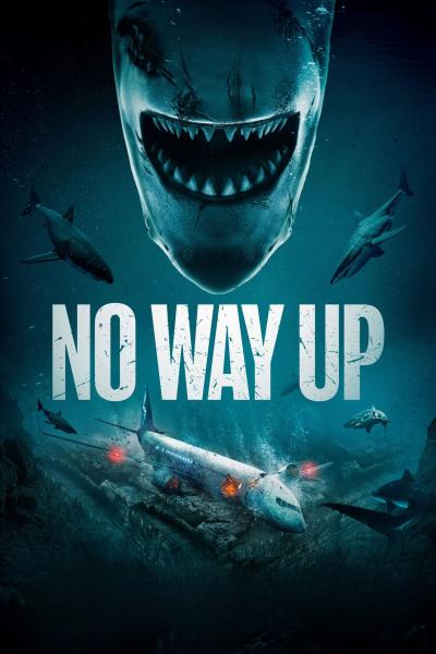 Affiche du film No Way Up