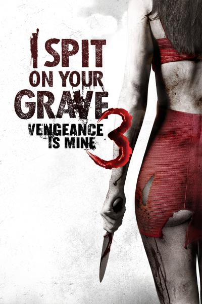 Affiche du film I Spit on Your Grave III: Vengeance is Mine