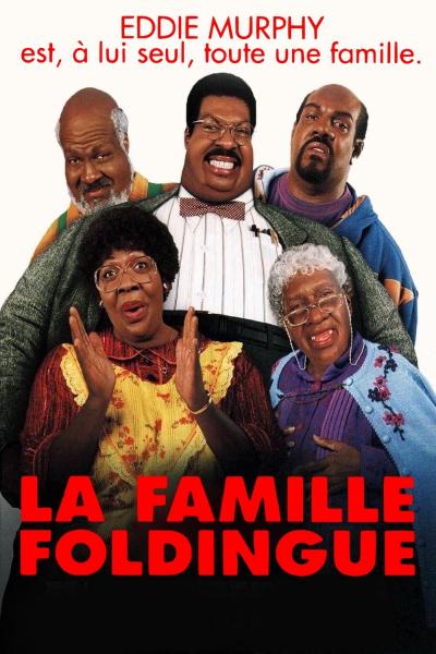 Affiche du film La Famille Foldingue