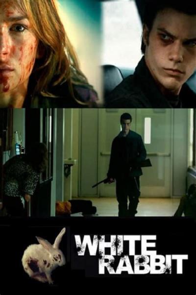 Affiche du film White Rabbit