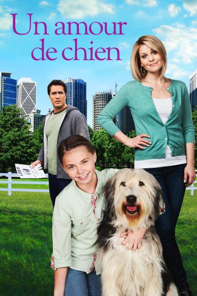 Affiche du film Un amour de chien