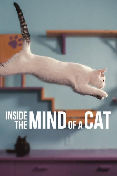 Affiche du film Notre langue aux chats