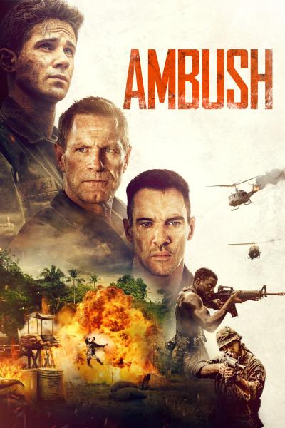 Affiche du film Ambush